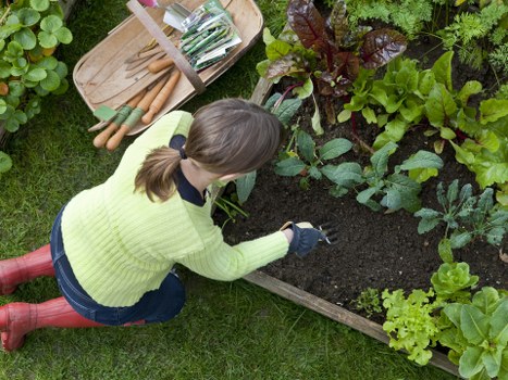 Person using screen-reader and keyboard to view a garden services page