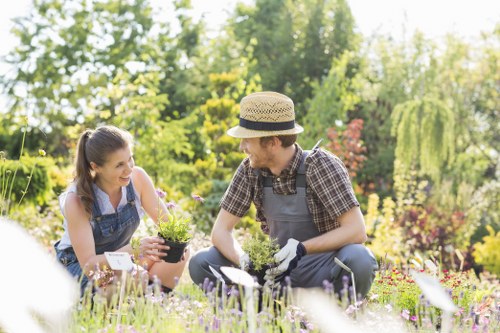 Healthy soil and vibrant plants in an Upminster garden